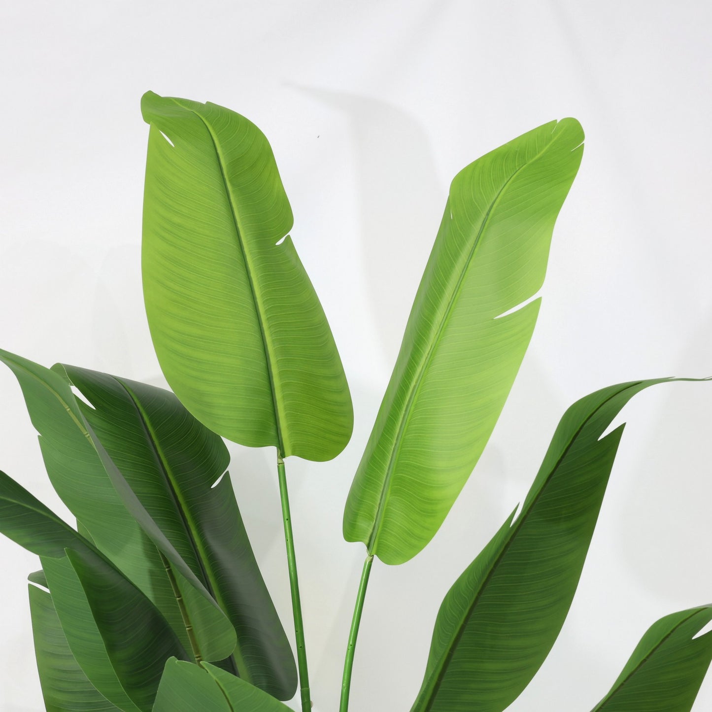 210cm Tropical Detachable Travelers Palm Classic Artificial Plant