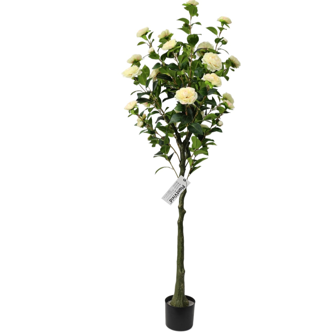 150cm Single-Stem Camellia Tree Champagne Blossoms Fixed Realistic Artificial Plant