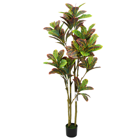 Ficus Pandurata (Croton) Artificiale 160cm con Foglie Variegate, Albero Finta in Vaso per Decorazione Casa e Negozio Natale