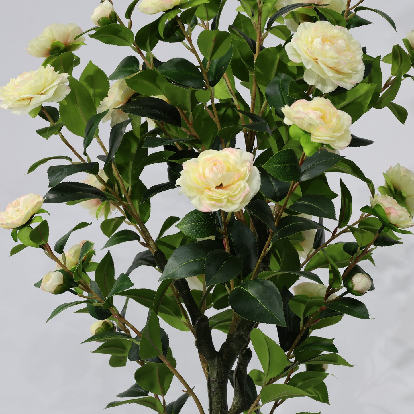 150cm Single-Stem Camellia Tree Champagne Blossoms Fixed Realistic Artificial Plant