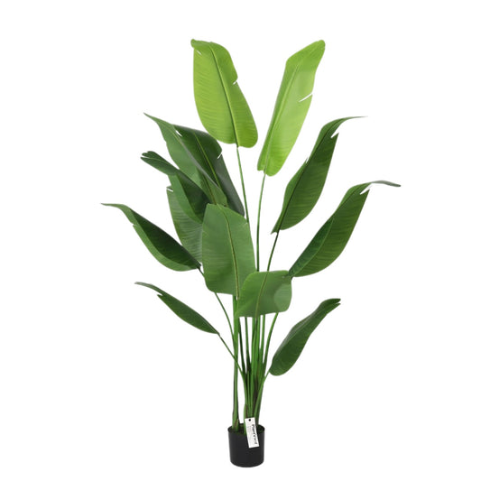 210cm Tropical Detachable Travelers Palm Classic Artificial Plant