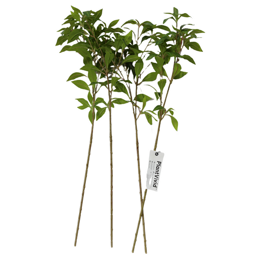 4 Pcs 75cm Artificial Pieris Japonica Stems Bendable  Faux Greenery Lifelike Foliage