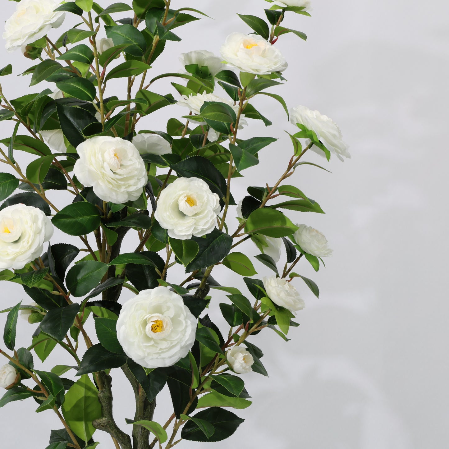 150cm Artificial Camellia Tree White Blooms Non-Detachable Faux Plant