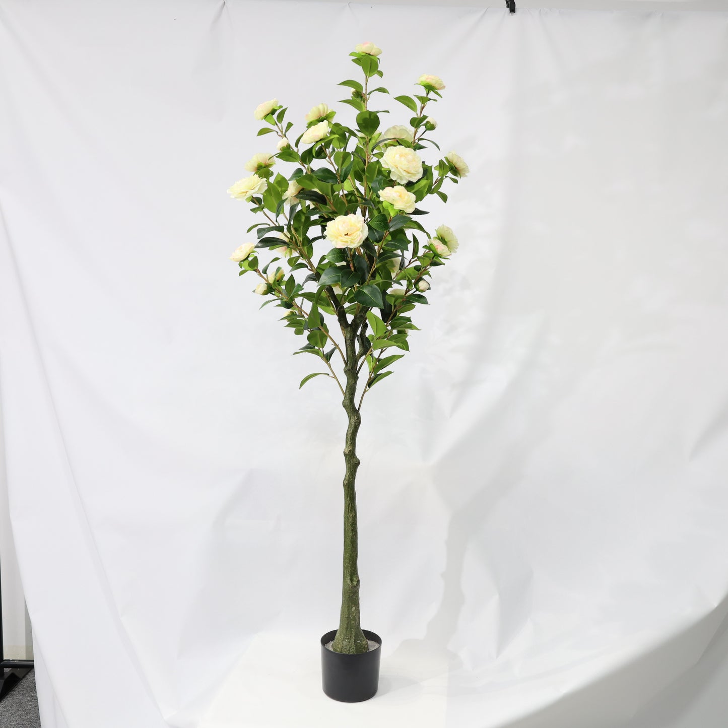 150cm Single-Stem Camellia Tree Champagne Blossoms Fixed Realistic Artificial Plant