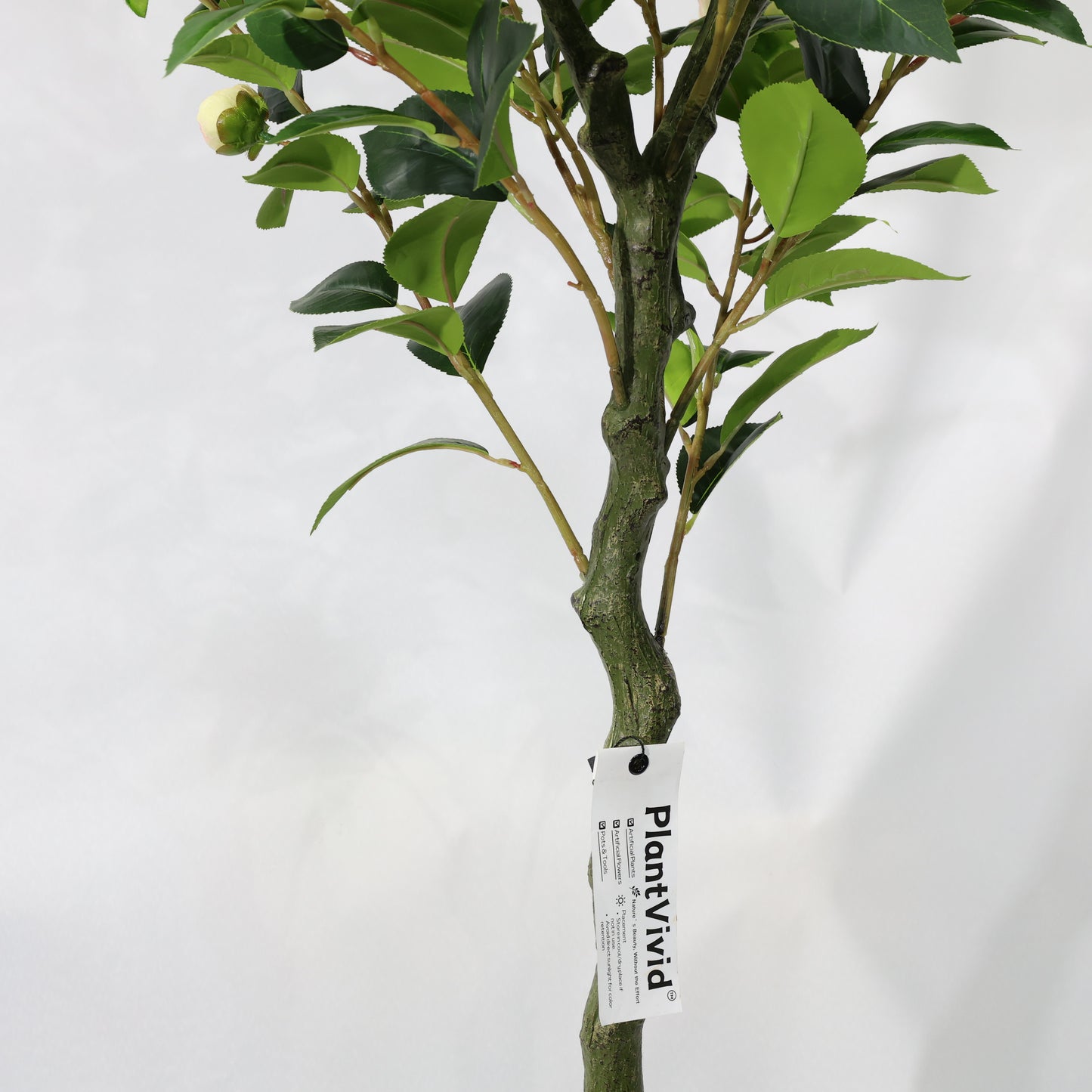 150cm Single-Stem Camellia Tree Champagne Blossoms Fixed Realistic Artificial Plant