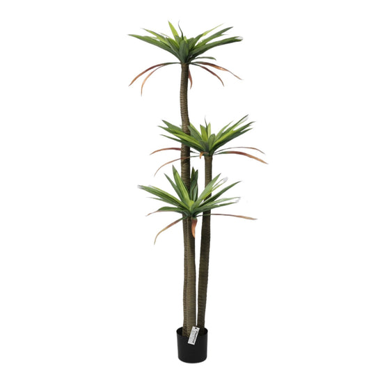 180cm Potted like real Faux Tropical Plant Artificial Dragon Tree