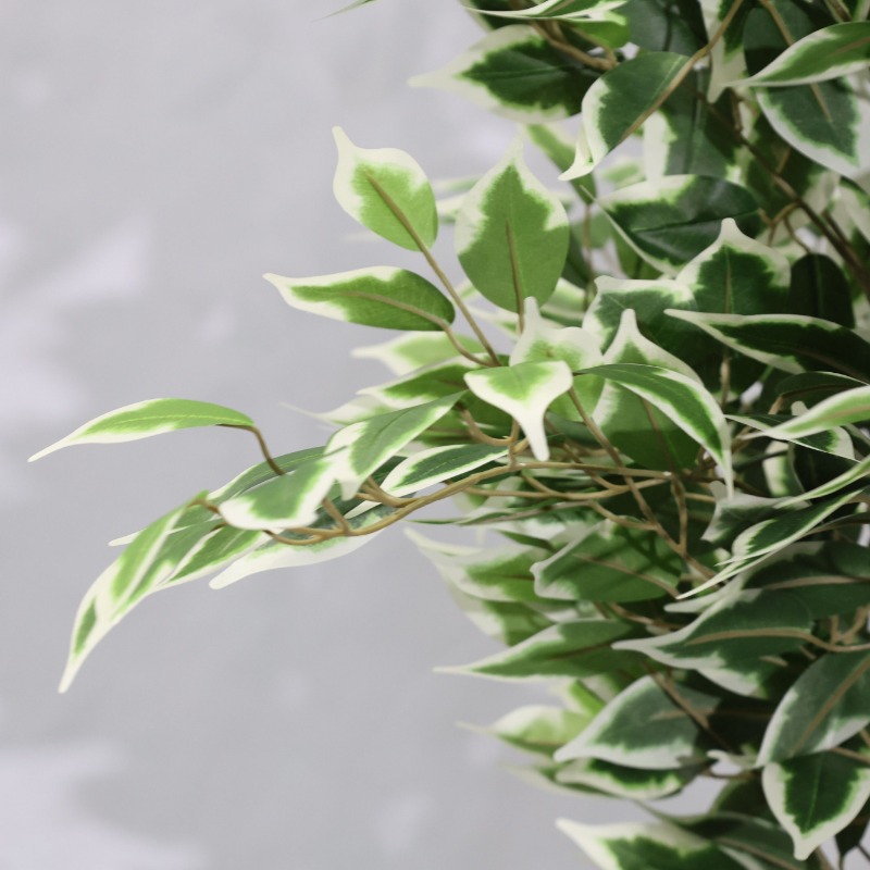 170cm Detachable Faux Banyan Tree Modern Style Artificial Ficus Plant