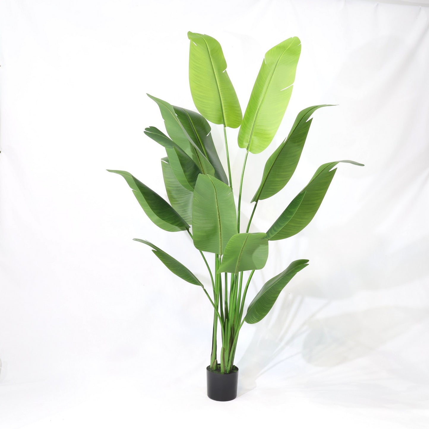 210cm Tropical Detachable Travelers Palm Classic Artificial Plant
