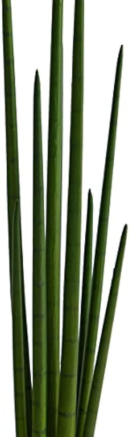 3.5-ft Artificial Snake Plant for Indoor Home Decor in Black Nursery Pot, Fake Sansevieria, 42-in Faux Snake Plant for Living Room, Bed