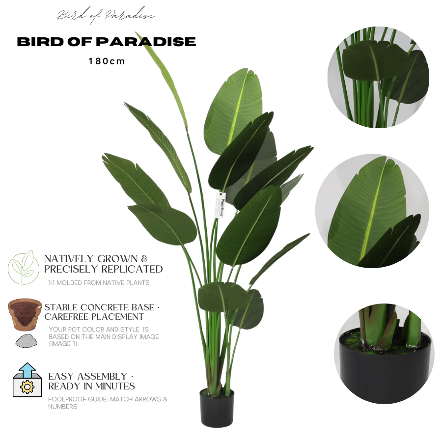 Τεχνητή Strelitzia Reginae 180cm με μεγάλα σκούρα πράσινα φύλλα, αφαιρούμενο τροπικό ψεύτικο δέντρο χριστουγεννιάτικες διακοσμήσεις καταστημάτων