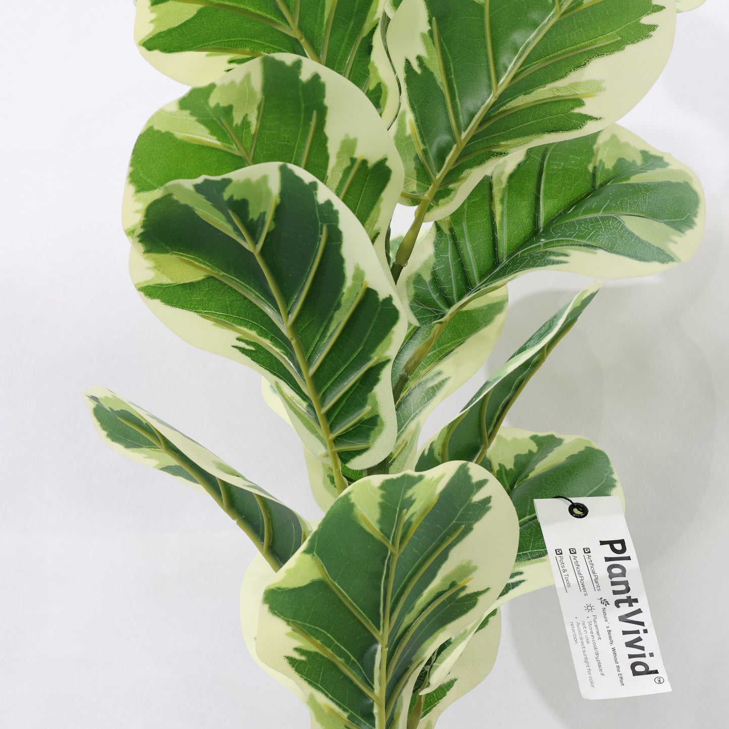 76cm Artificial Fiddle Leaf Fig White-Edged Lifelike Leaves Faux Plant