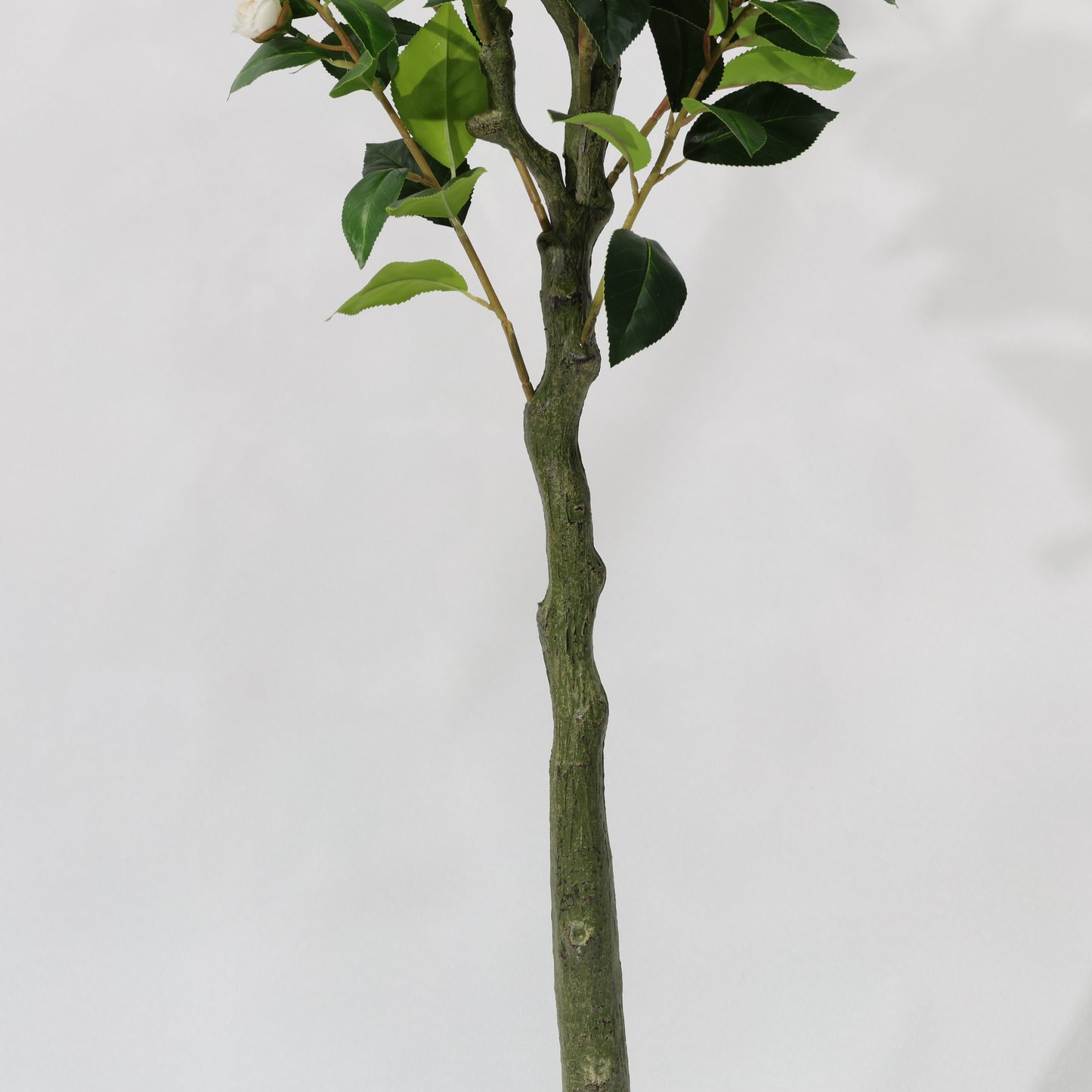 150cm Artificial Camellia Tree White Blooms Non-Detachable Faux Plant