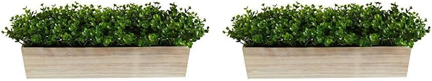 19in. Eucalyptus Artificial Plant in Decorative Planter No50
