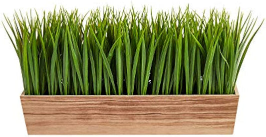 20in. Vanilla Grass Artificial Plant in Decorative Planter