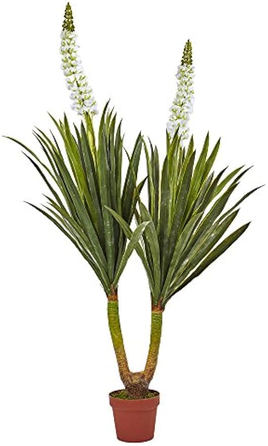 57in. Flowering Yucca Plant