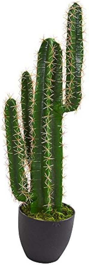 3' Cactus Artificial Plant, Green 2.5ft.