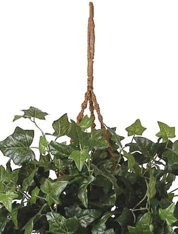 English Ivy Hanging Basket, 36 in x 36 in x 26 in, Green