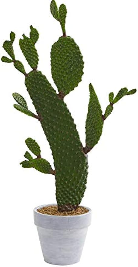 27in. Cactus Artificial Plant