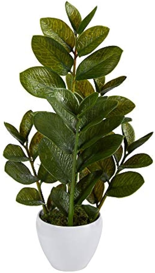 22in. Zamioculcas Artificial Plant in White Planter