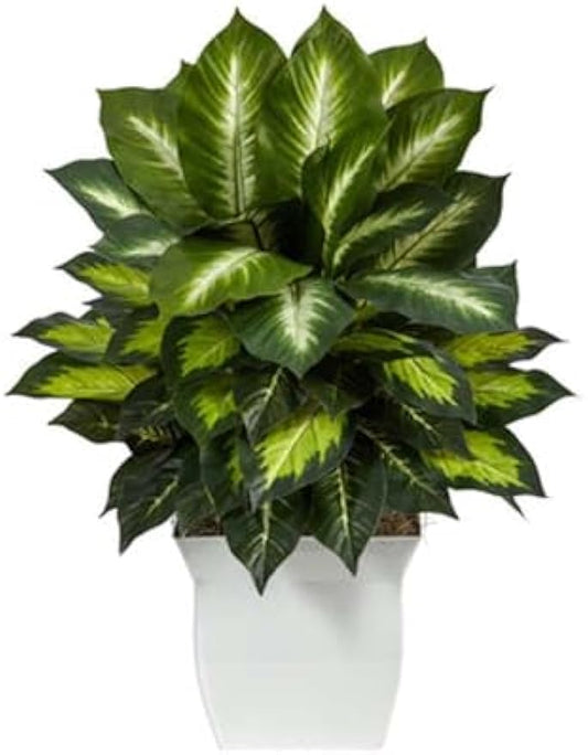 2ft. Golden Dieffenbachia Artificial Plant in White Metal Planter
