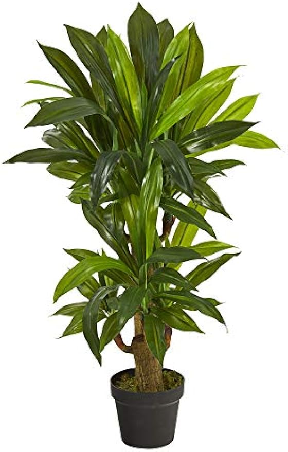 3ft. Corn Stalk Dracaena Artificial Plant (Real Touch)