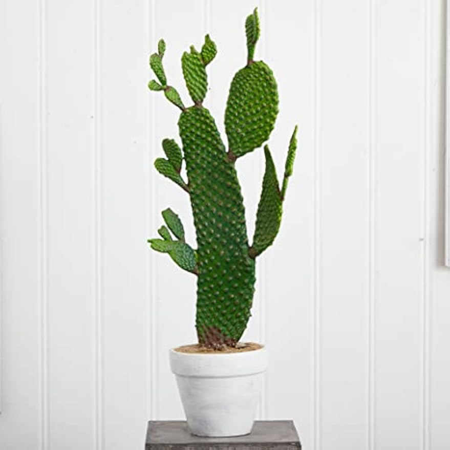 27in. Cactus Artificial Plant