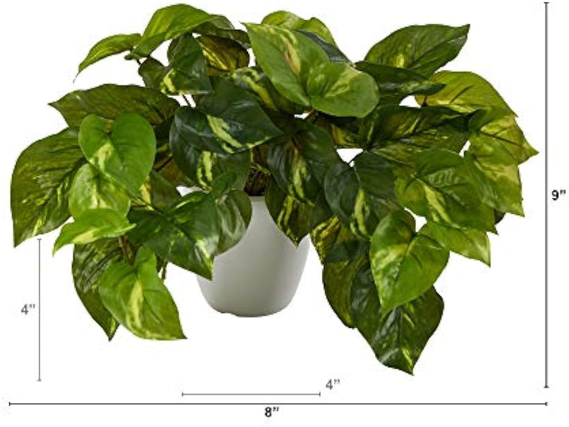 9in. Pothos Artificial Plant in White Planter (Real Touch)