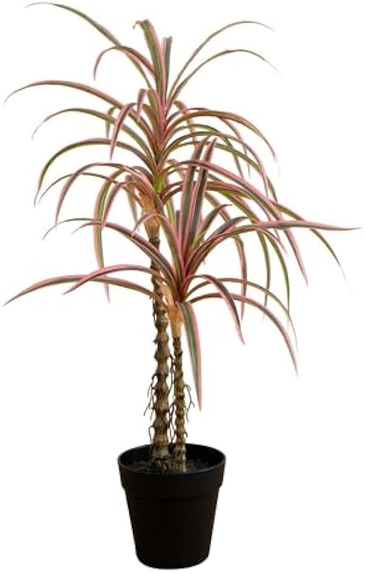 2ft. Artificial Dracaena Marginata Plant