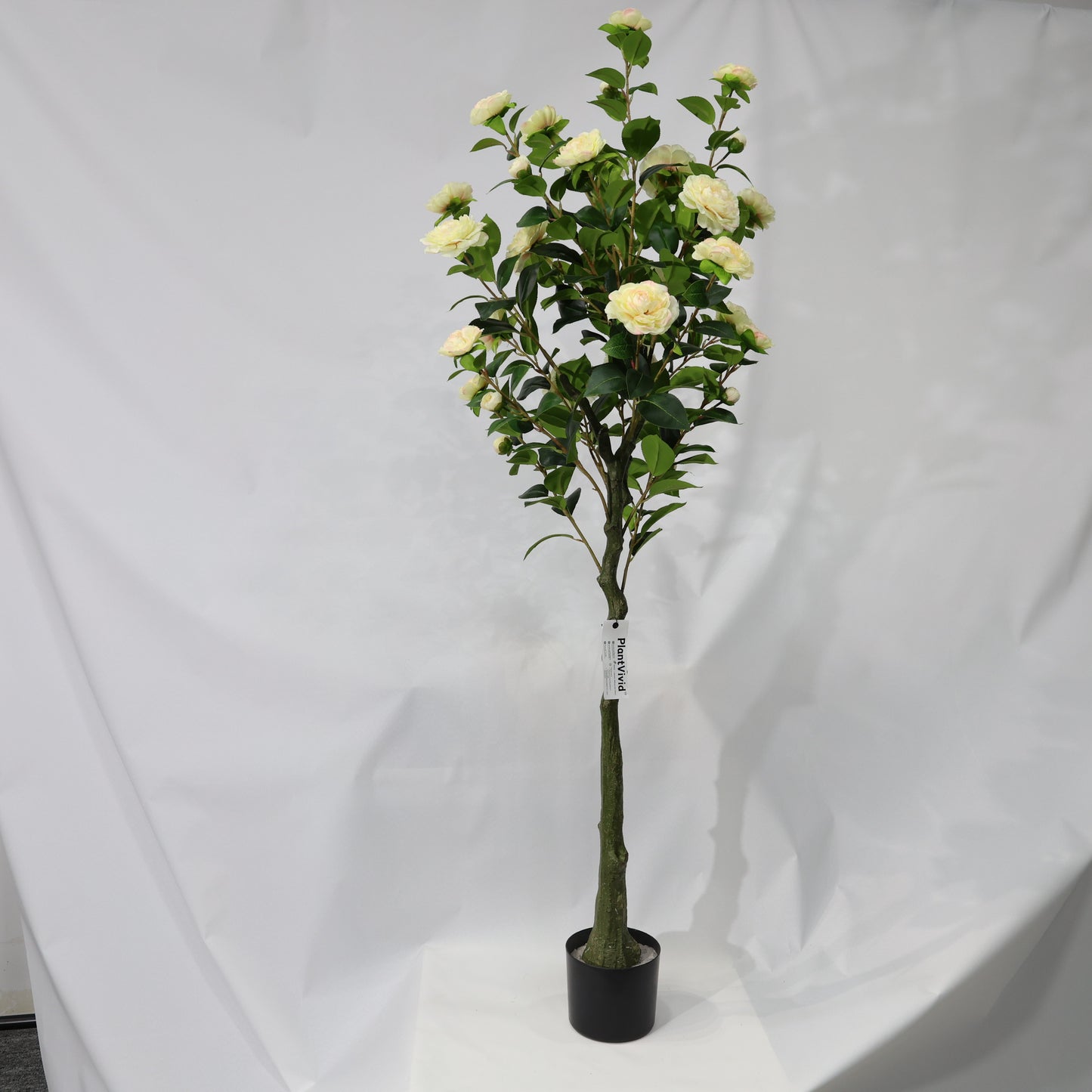 150cm Single-Stem Camellia Tree Champagne Blossoms Fixed Realistic Artificial Plant