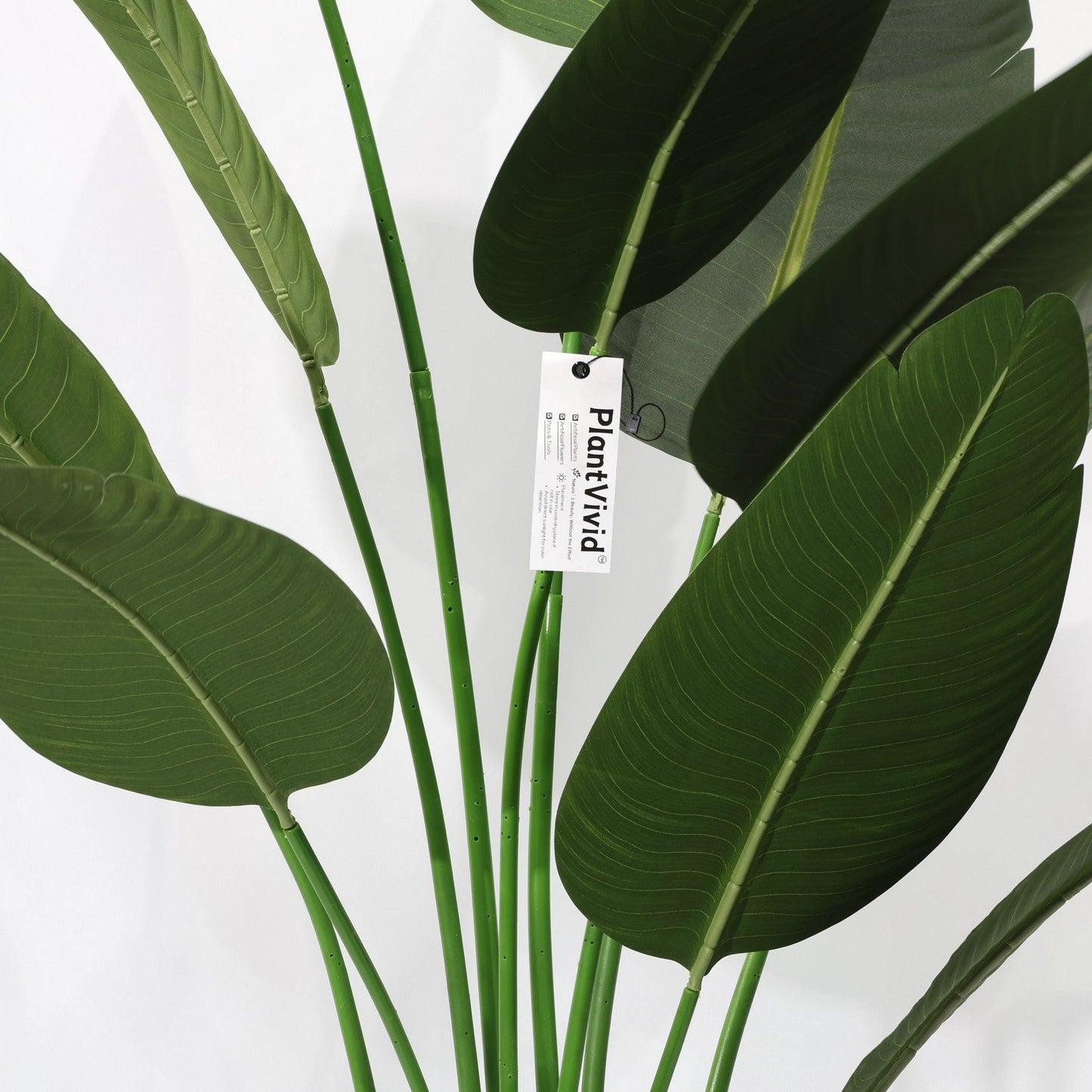 Τεχνητή Strelitzia Reginae 180cm με μεγάλα σκούρα πράσινα φύλλα, αφαιρούμενο τροπικό ψεύτικο δέντρο χριστουγεννιάτικες διακοσμήσεις καταστημάτων