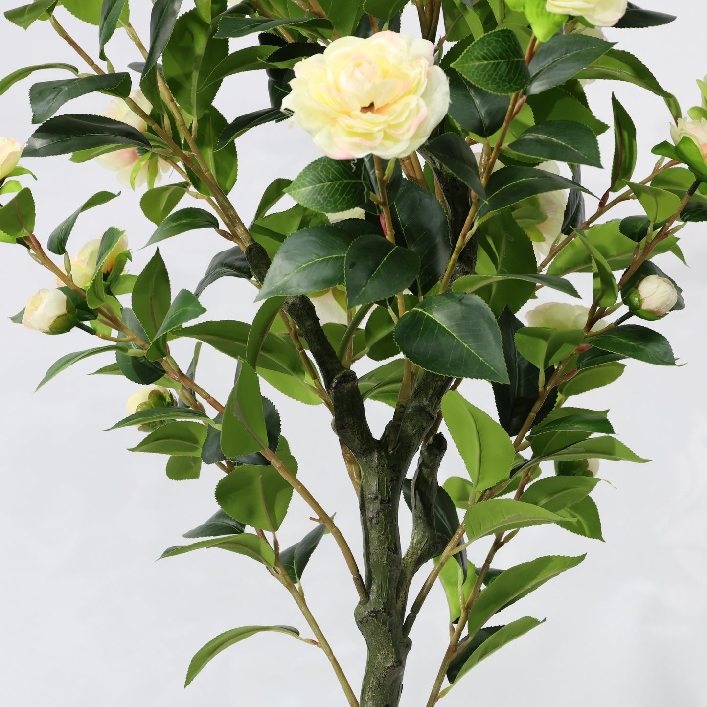 150cm Single-Stem Camellia Tree Champagne Blossoms Fixed Realistic Artificial Plant