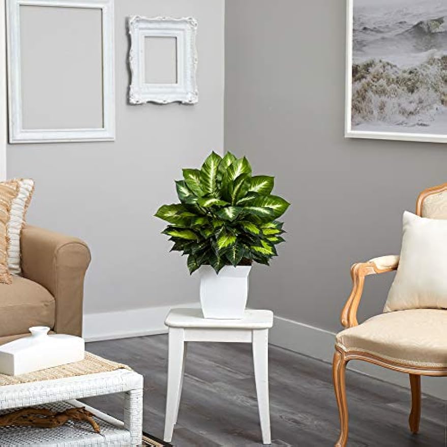 2ft. Golden Dieffenbachia Artificial Plant in White Metal Planter