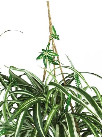 6607 Spider Hanging Basket Decorative Silk Plant, Green,10.25" x 10.25" x 17.5" No50