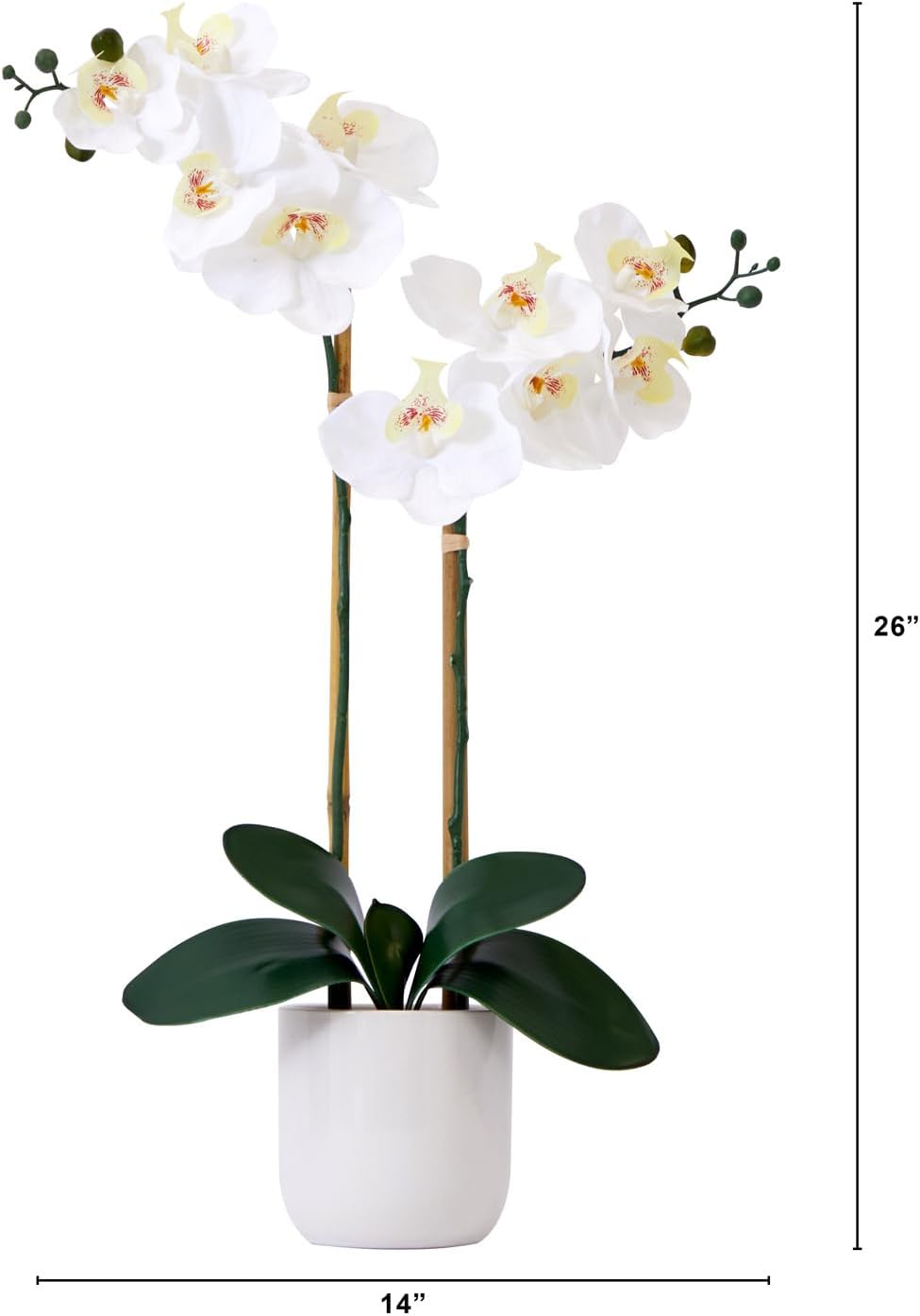 26in. Artificial Double Orchid Phalaenopsis with Decorative Vase (Real Touch)