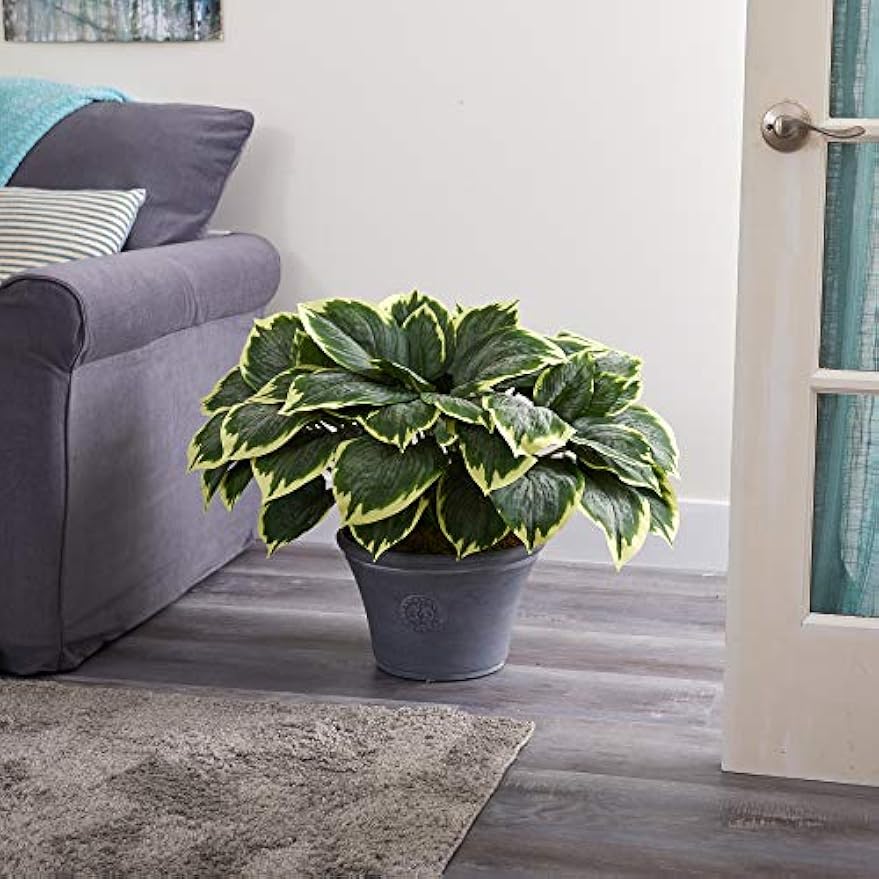 23in. Variegated Hosta Artificial Plant in Gray Planter