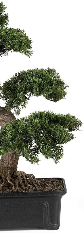 4103 24in. Cedar Bonsai Silk Plant,Green
