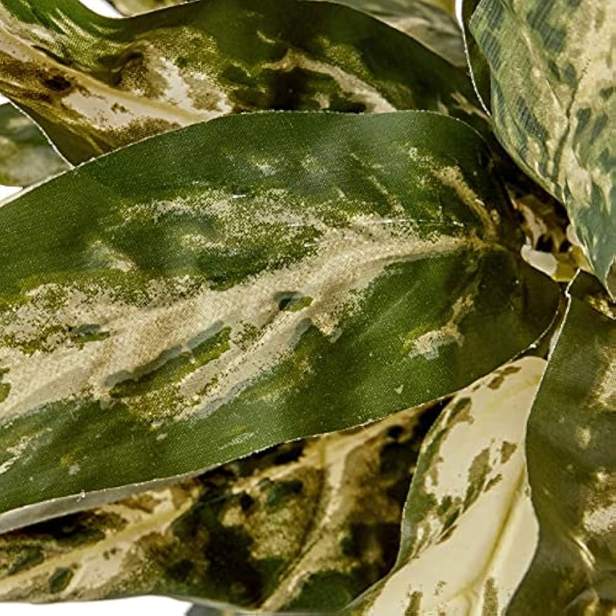 Aglaonema with Decorative Vase Silk Plant