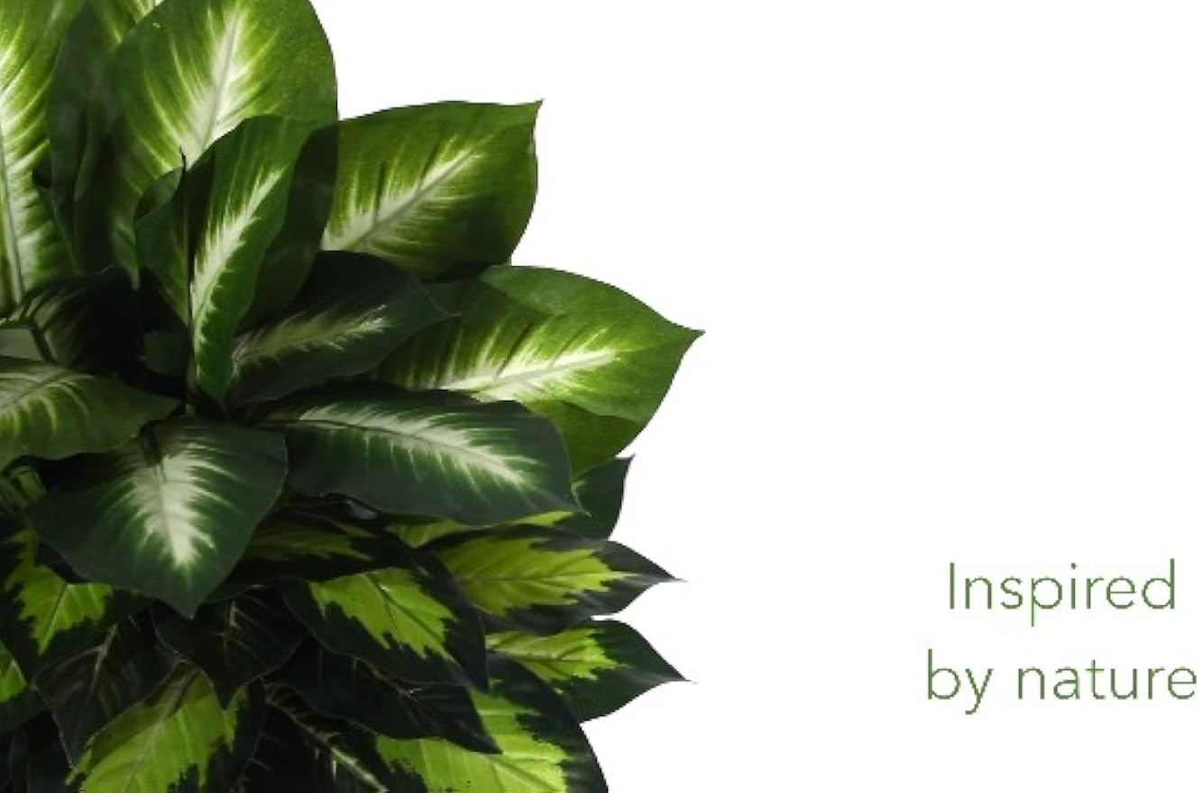 2ft. Golden Dieffenbachia Artificial Plant in White Metal Planter