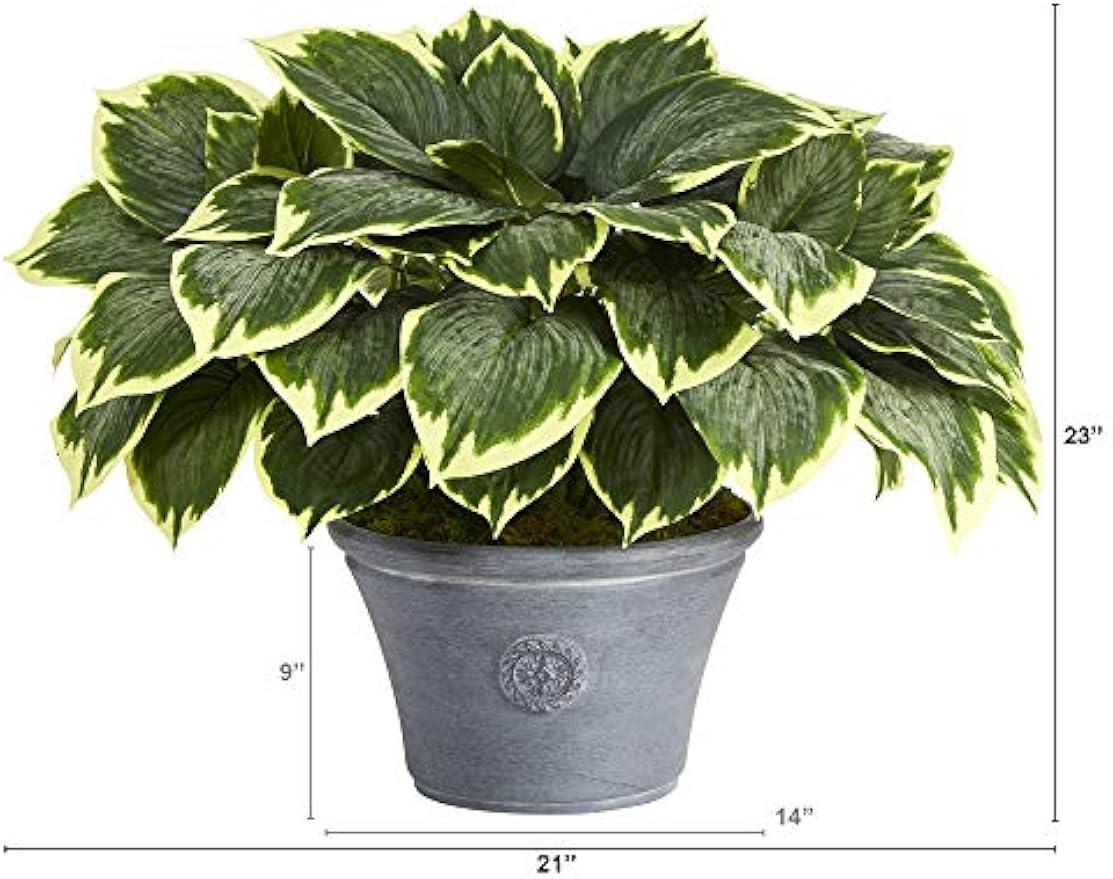 23in. Variegated Hosta Artificial Plant in Gray Planter