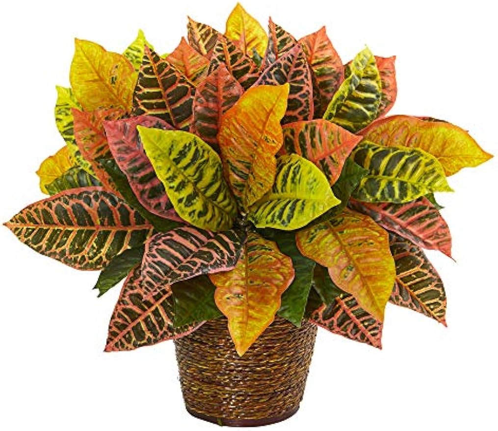 17in. Garden Croton Artificial Plant in Basket (Real Touch)