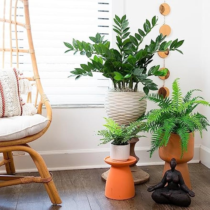 28in. Artificial Zamioculcas Plant with Decorative Planter