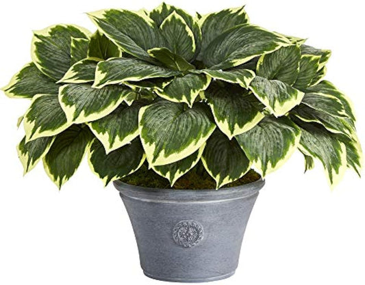 23in. Variegated Hosta Artificial Plant in Gray Planter