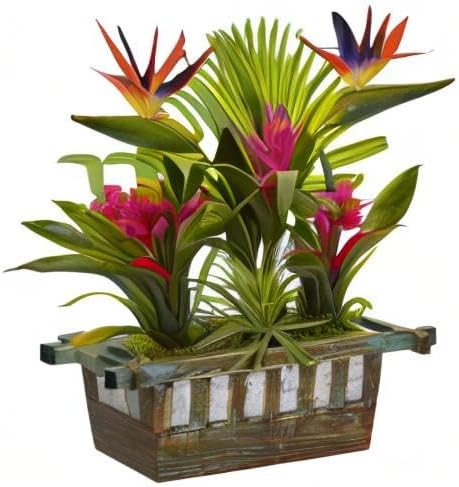 Bird of Paradise and Bromeliad in Planter