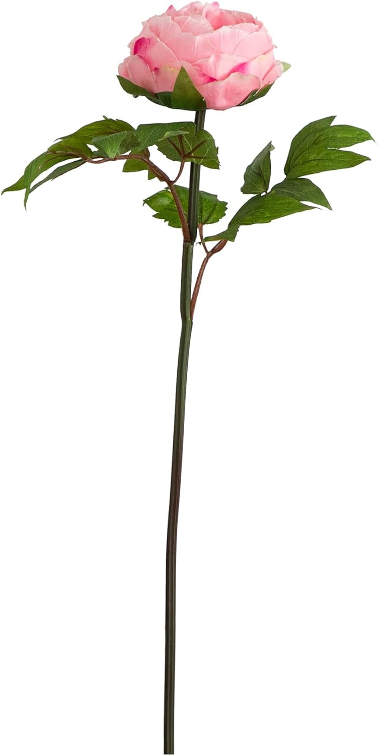 20-in Artificial Peony Flower Stems, Set of 3 Long Stem Artificial Flowers for Home or Office Décor, Faux Peony Flower Stems in White f No50