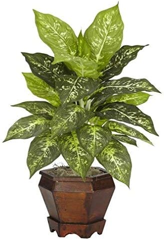 Dieffenbachia with Wood Vase Silk Plant (Set of 2) No50