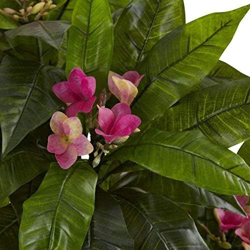 5ft. Plumeria Tree UV Resistant (Indoor/Outdoor)