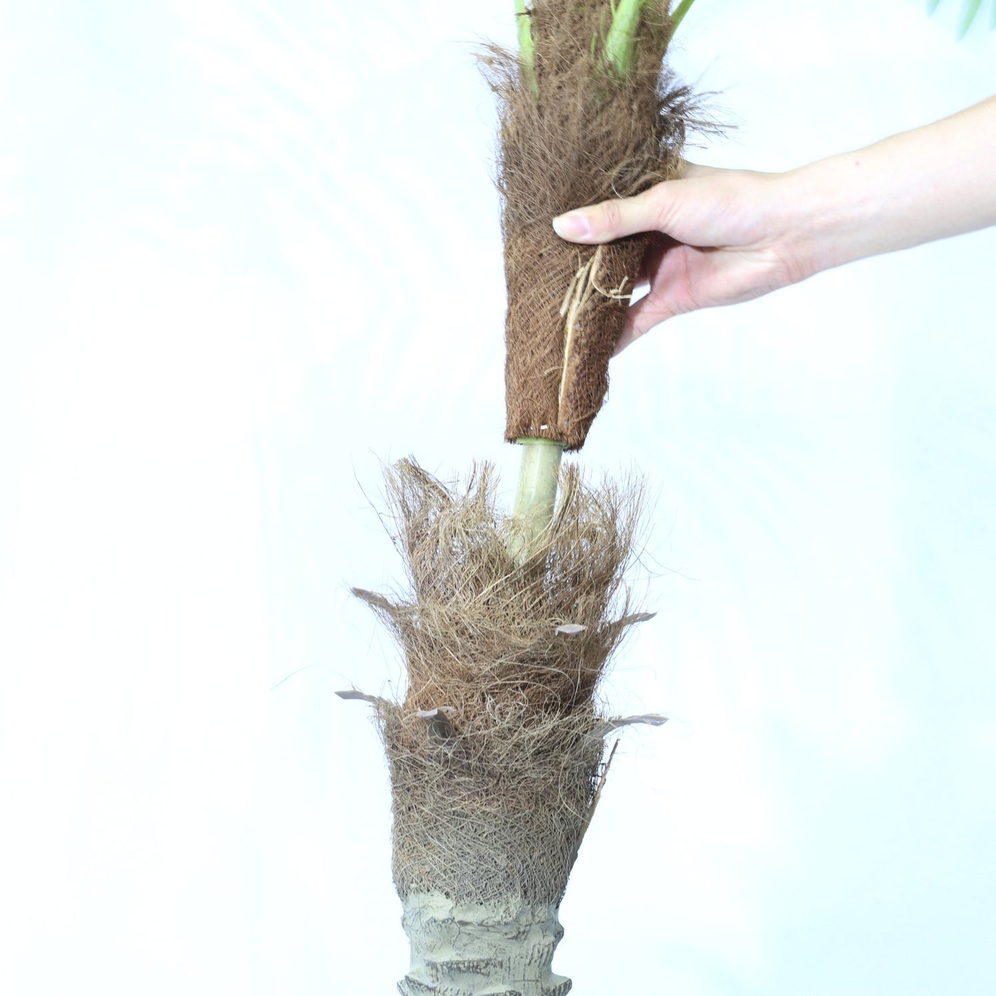 120cm Faux Potted Tree Tropical Palm Tree Detachable Artificial Plant