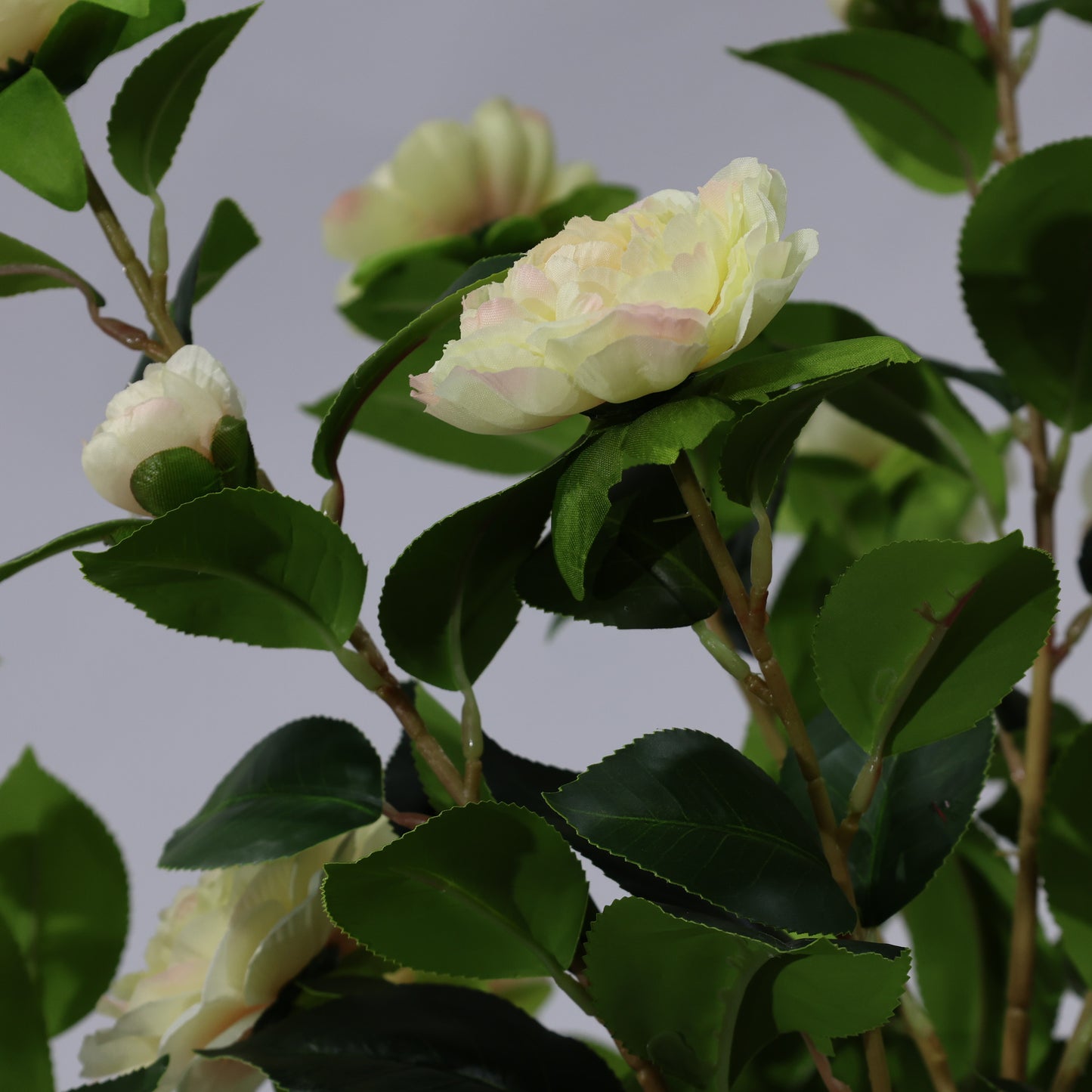 150cm Single-Stem Camellia Tree Champagne Blossoms Fixed Realistic Artificial Plant