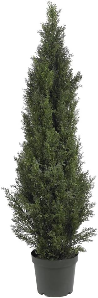 5291 5ft. Mini Cedar Pine Tree (Indoor/Outdoor),Green,5'