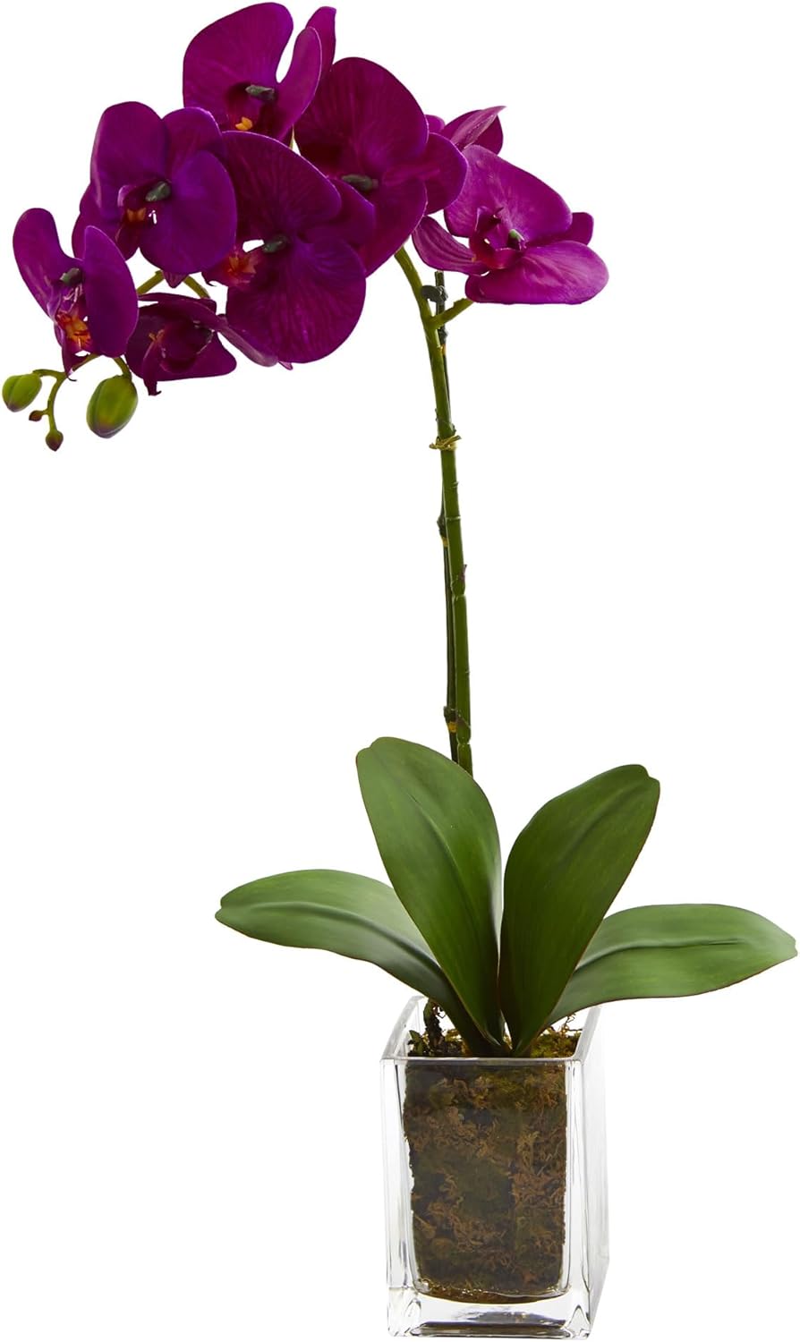 24-in. Orchid Phalaenopsis Artificial Vase Silk Arrangements, Cream No50